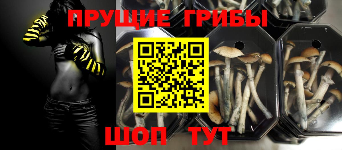 Псилоцибиновые грибы мицелий Волгоград