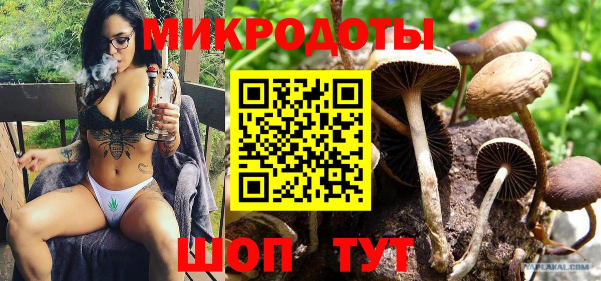 Галлюциногенные грибы Psilocybine cubensis  Вход с VPN  Волгоград 